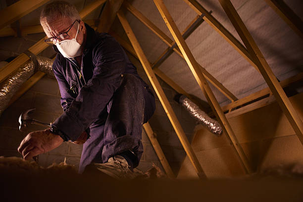 Best Insulation Maintenance and Repair in Sycamore, IL